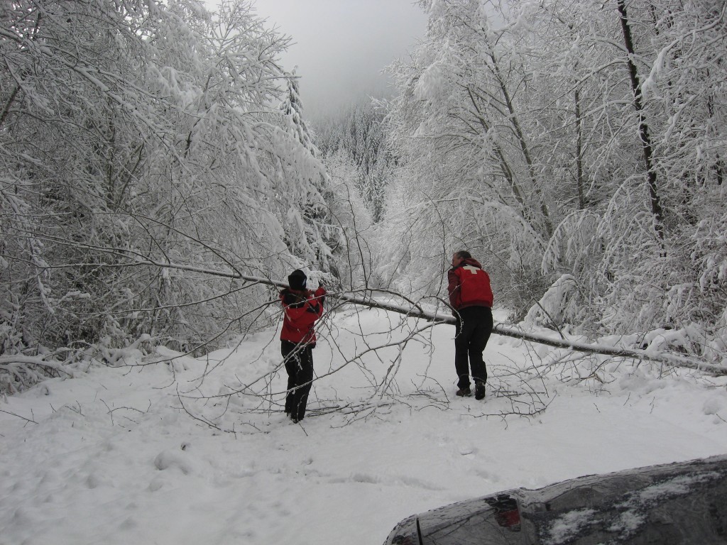 Mount Tahoma Trails Association