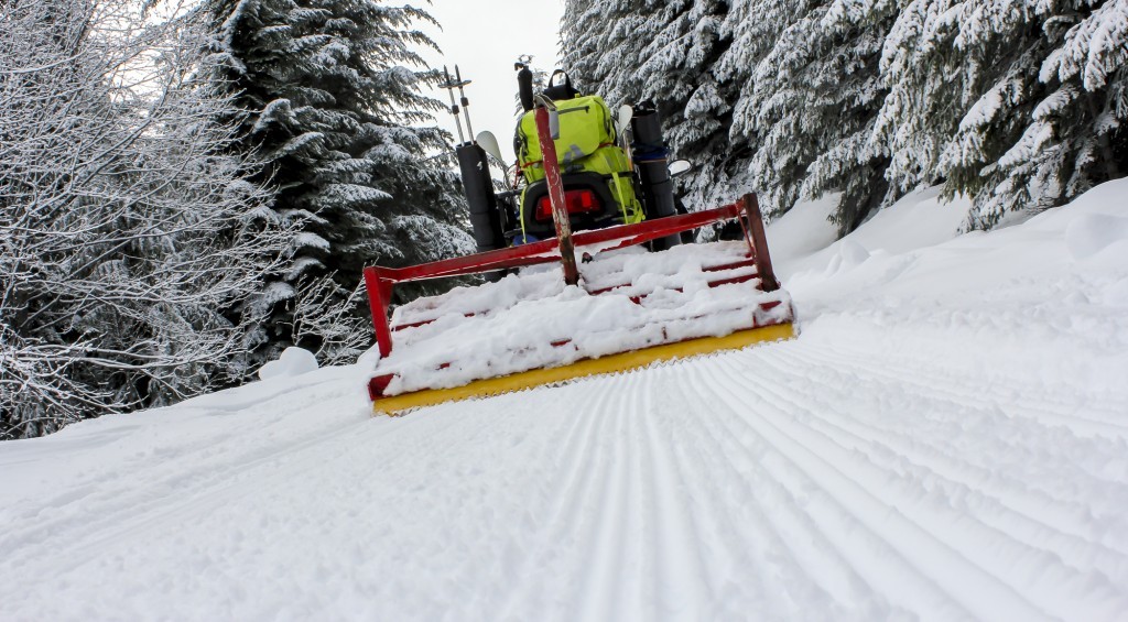 Mount Tahoma Trails Association